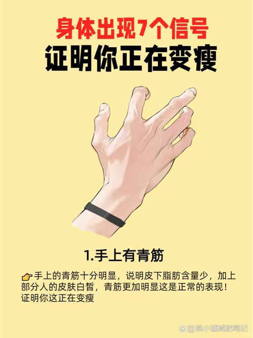 减肥开始瘦的是什么