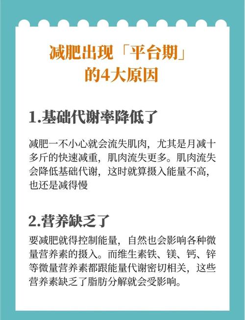 减肥为什么有平台期