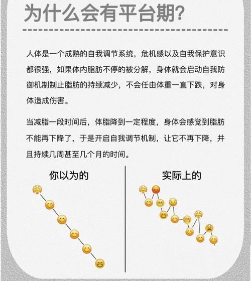 减肥为什么有平台期
