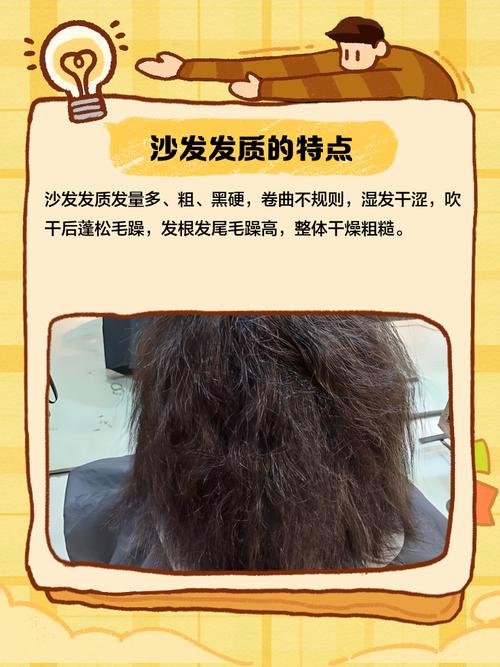 头发沙发什么意思