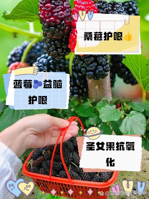 吃什么水果补眼睛