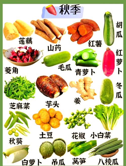 秋天吃什么蔬菜最好