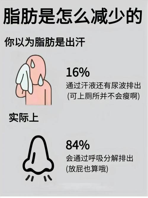 为什么运动出汗能减肥