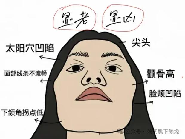 什么的脸填