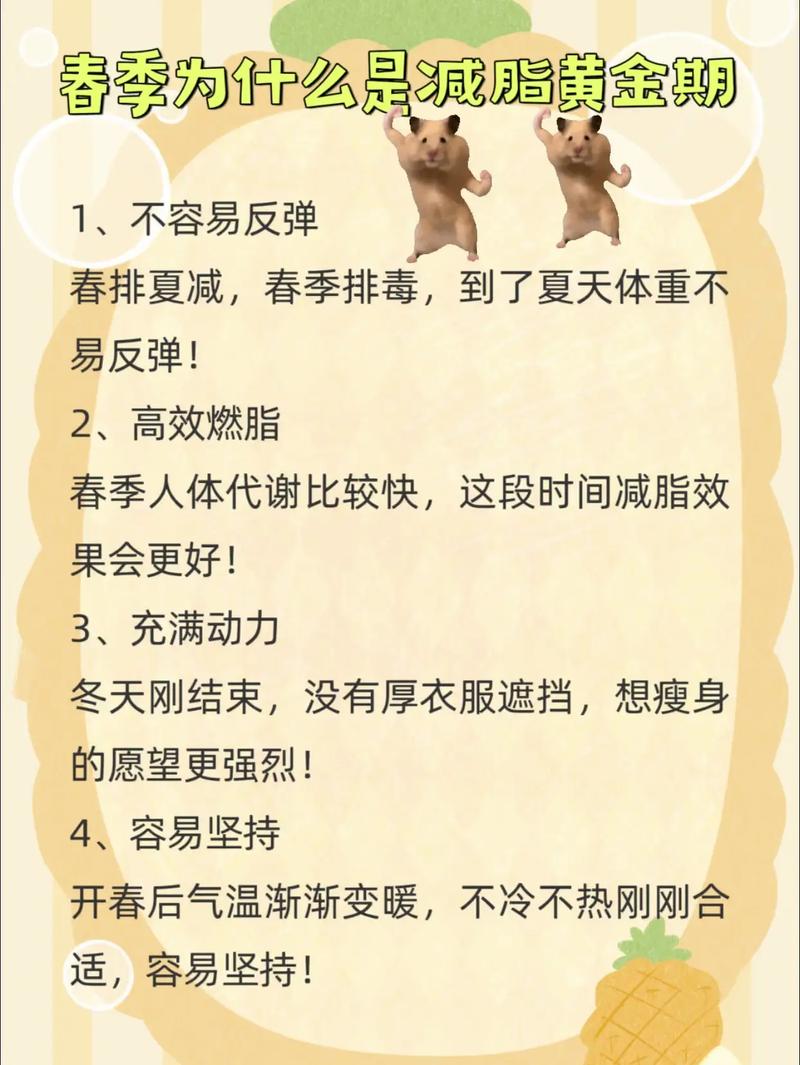 春季为什么要减肥