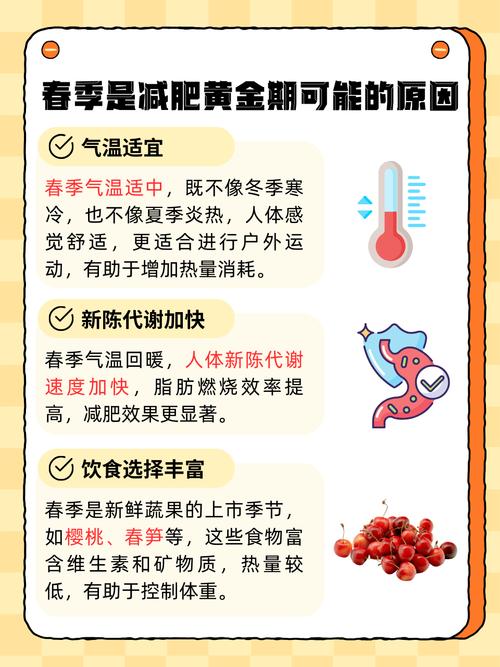 春季为什么要减肥