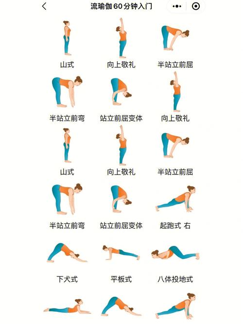 什么叫流瑜伽