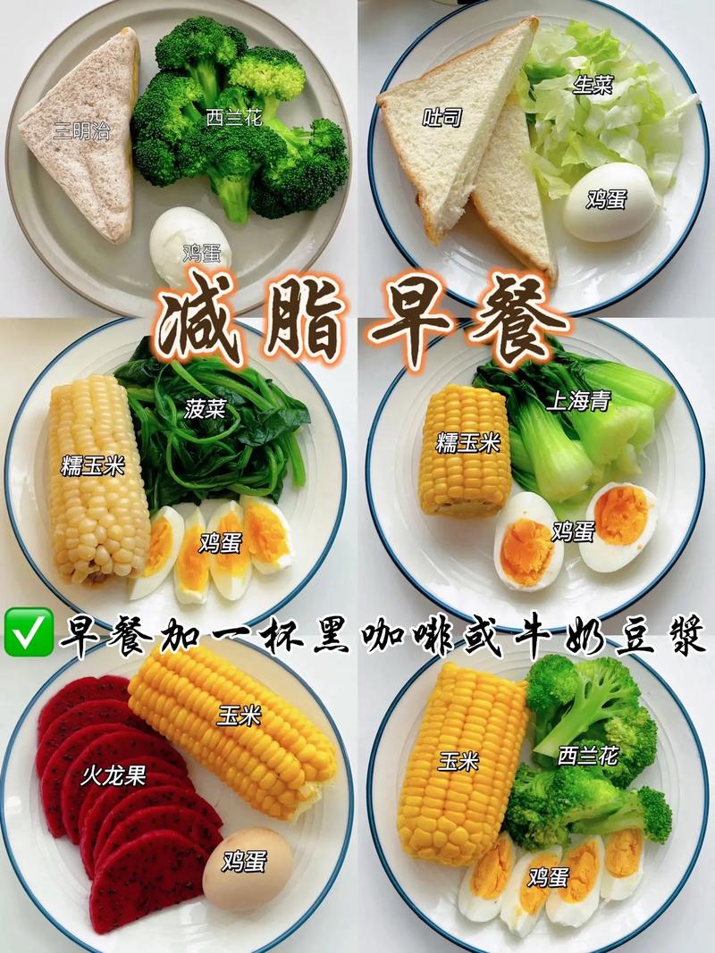 冬天减肥餐早中晚什么