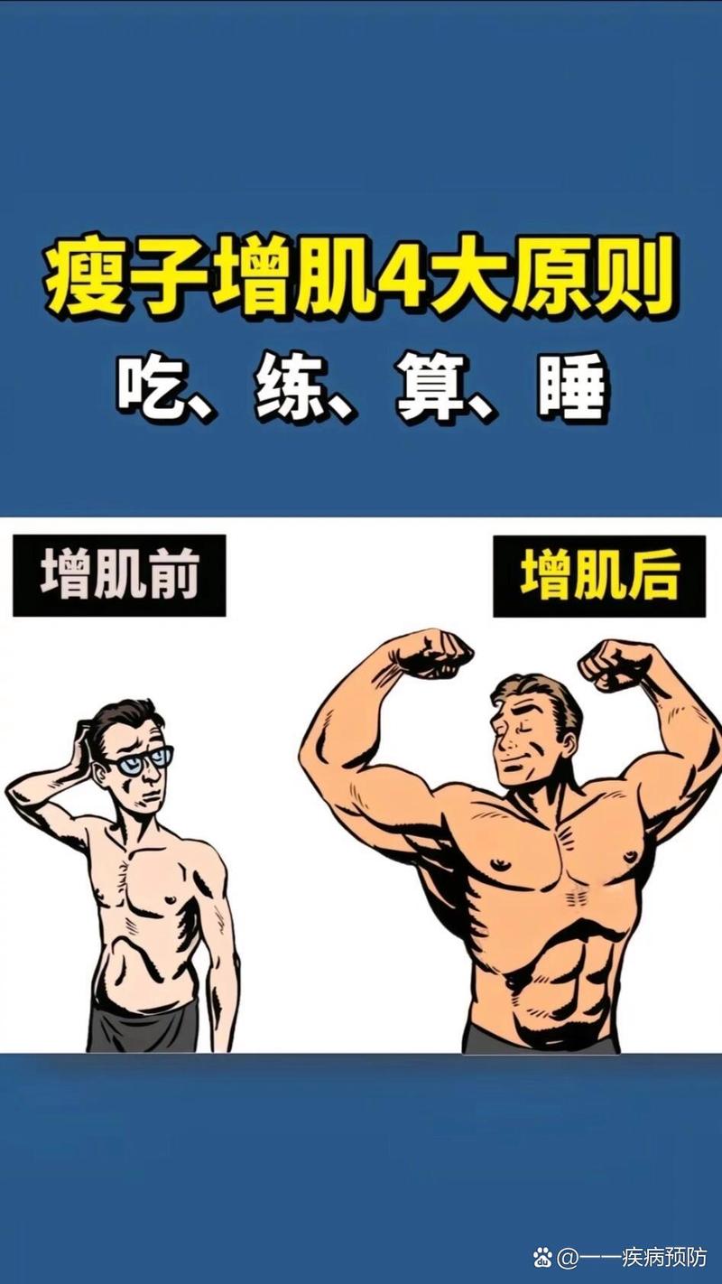 什么是瘦肌肉
