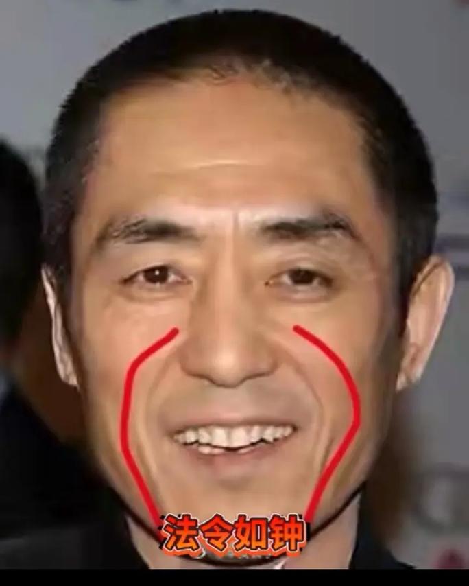 法令是什么