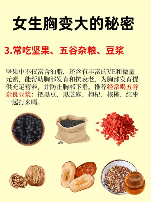 中药什么丰胸