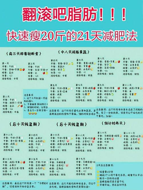 21天减肥法是什么意思