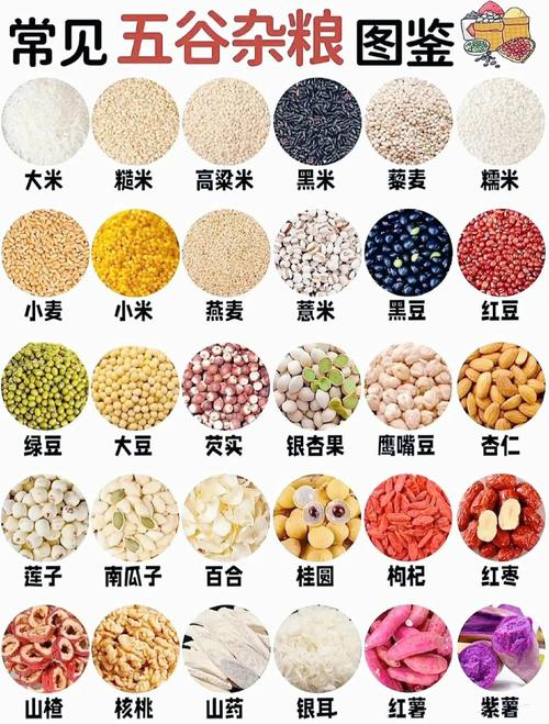 减肥谷物有什么