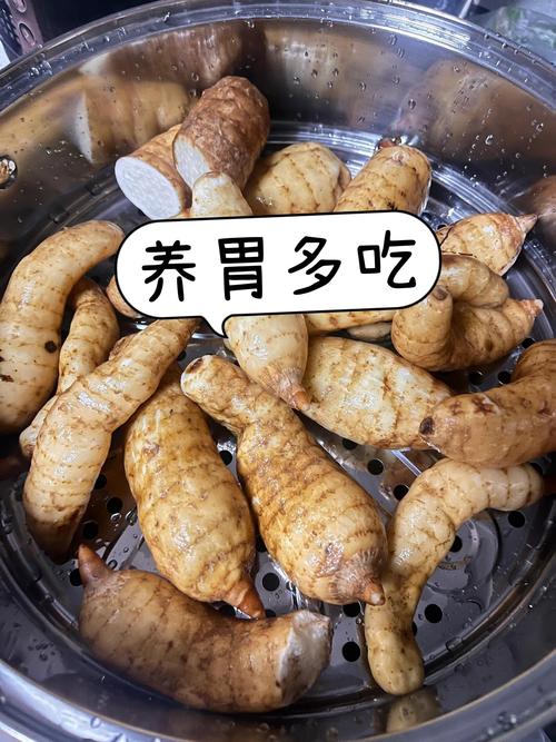 胃不好的人吃什么菜