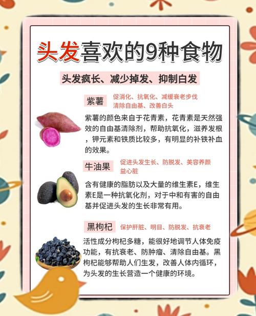 防止脱发吃什么食物