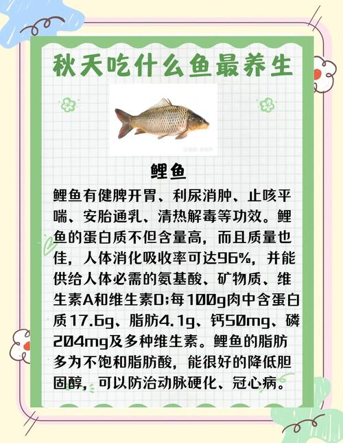 吃什么鱼减肥