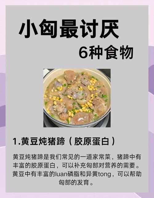 丰胸多吃什么食物