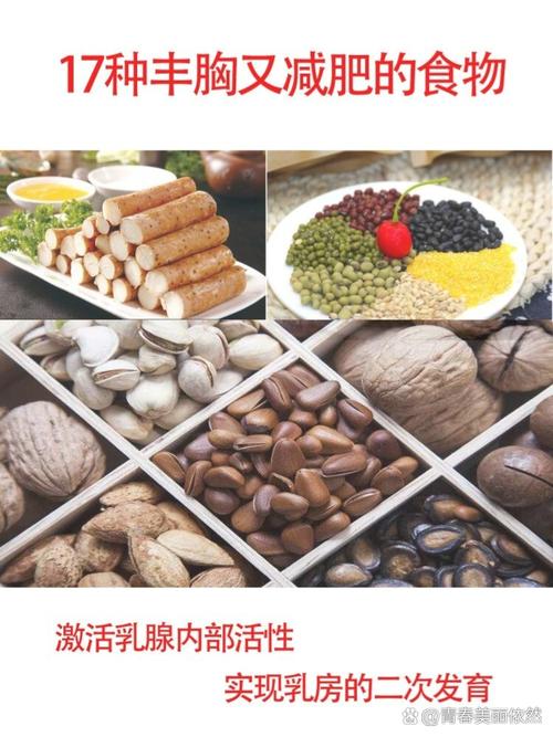 丰胸多吃什么食物