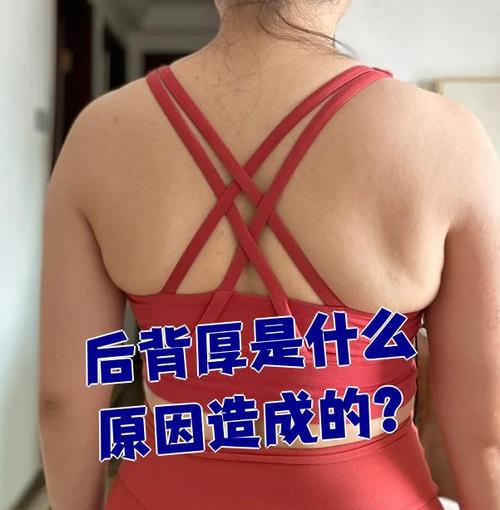 背脂是什么