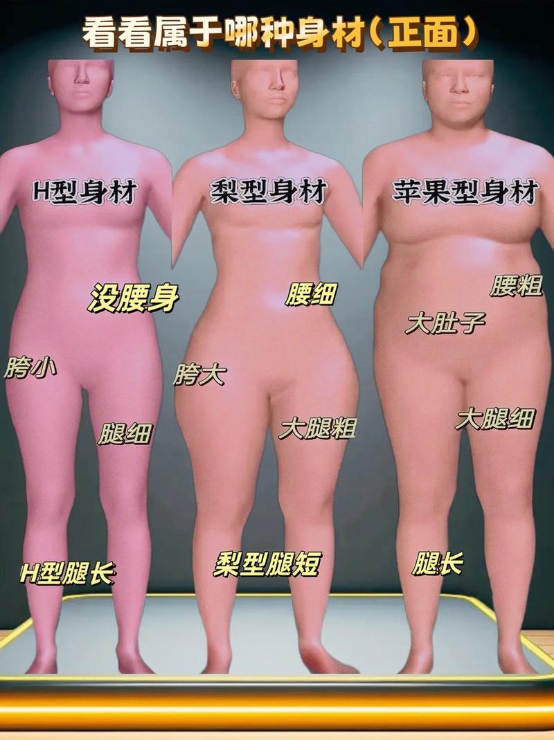 什么是身型