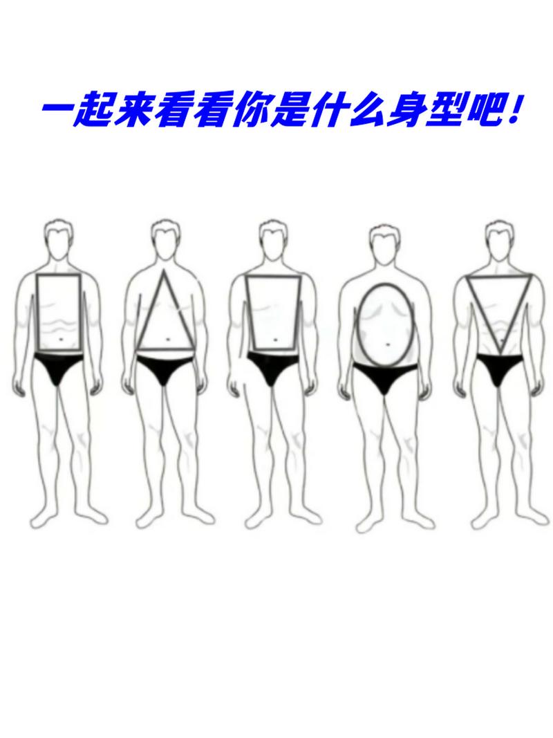 什么是身型