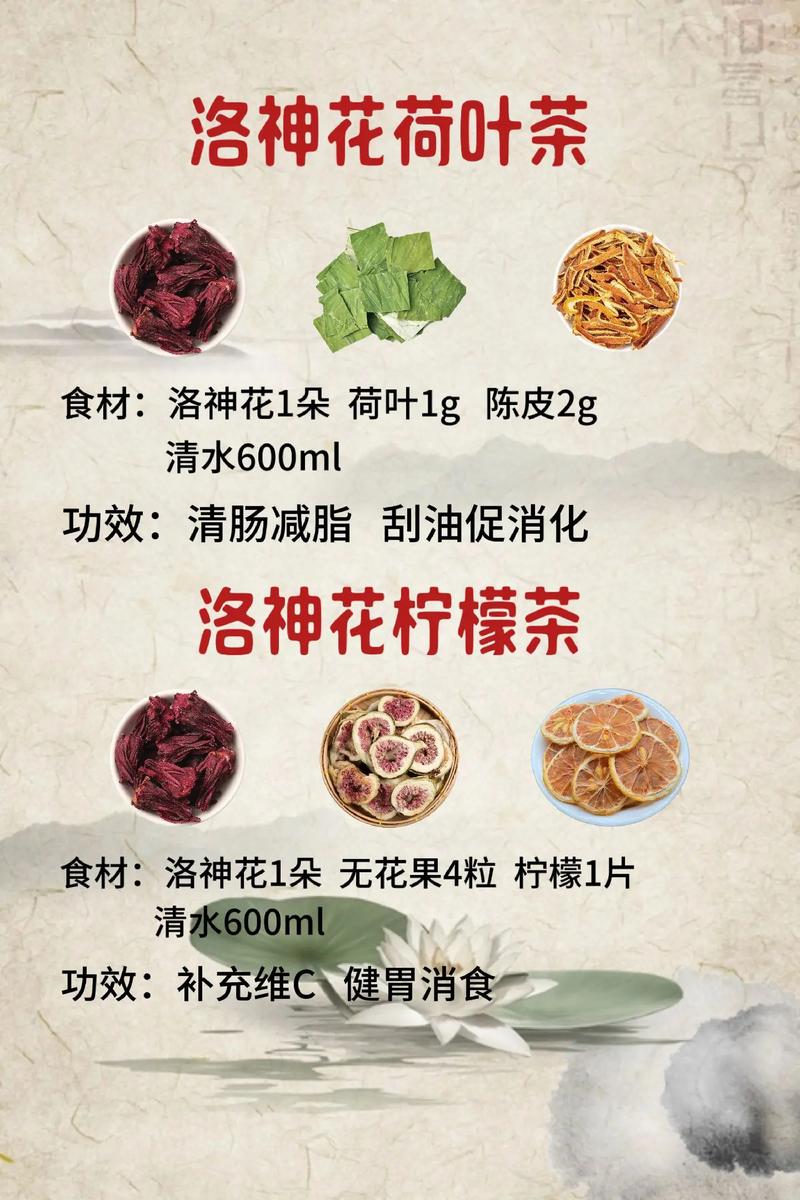 减肥喝什么花茶