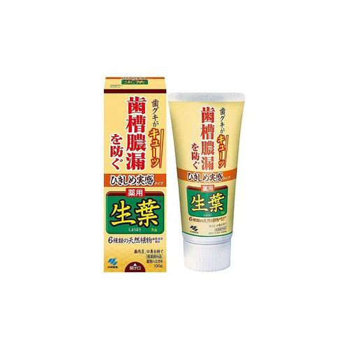 牙龈炎出血吃什么药