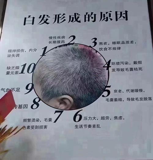 白发是什么原因造成的