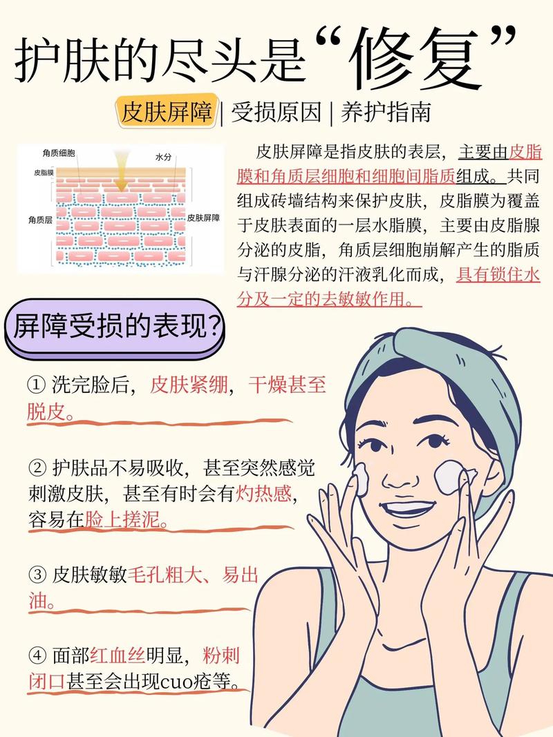 皮肤屏障是什么意思