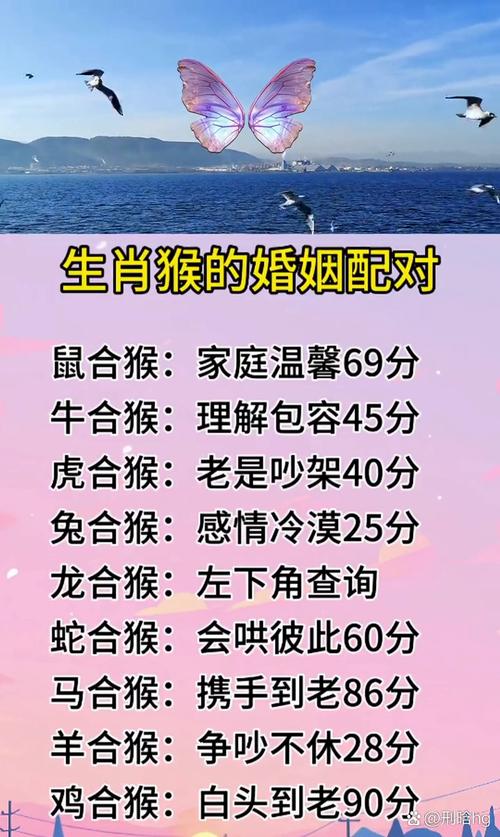 猴女配什么生肖最好