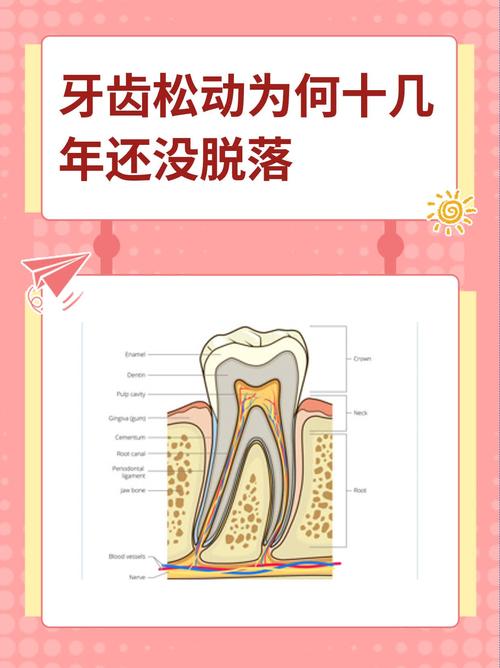 大牙松动是什么原因