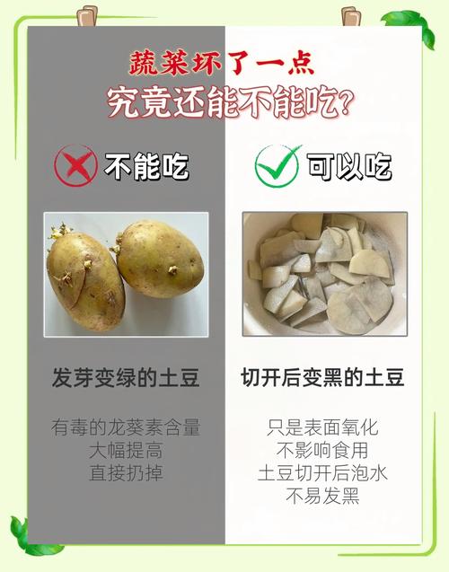 土豆为什么能减肥
