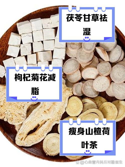 什么中药可以减肥