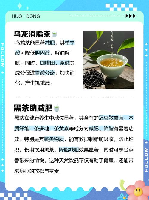 经常喝什么能减肥