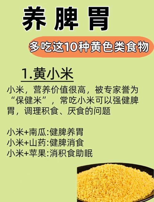 什么食物养脾胃最好