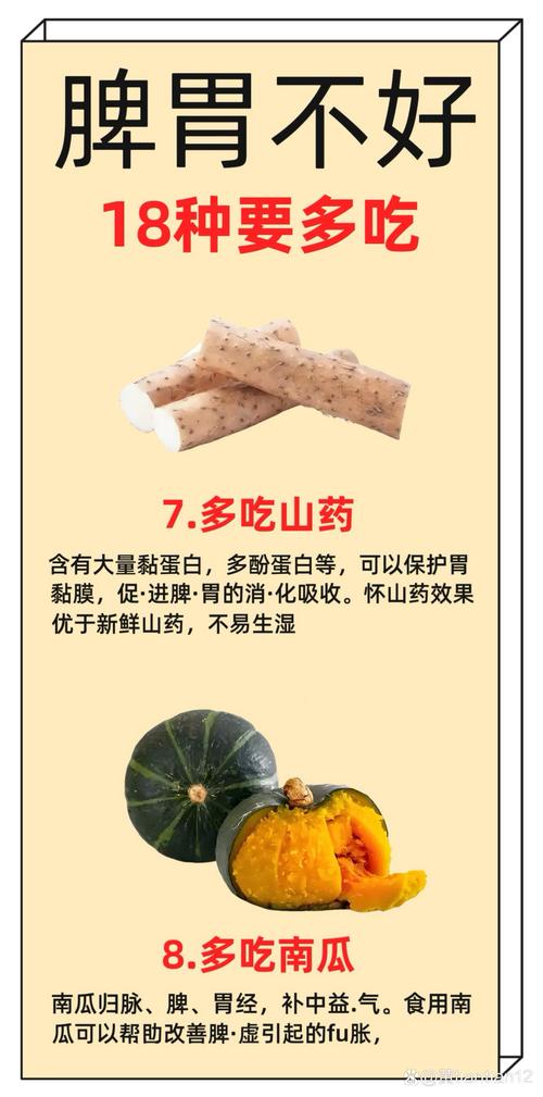 什么食物养脾胃最好