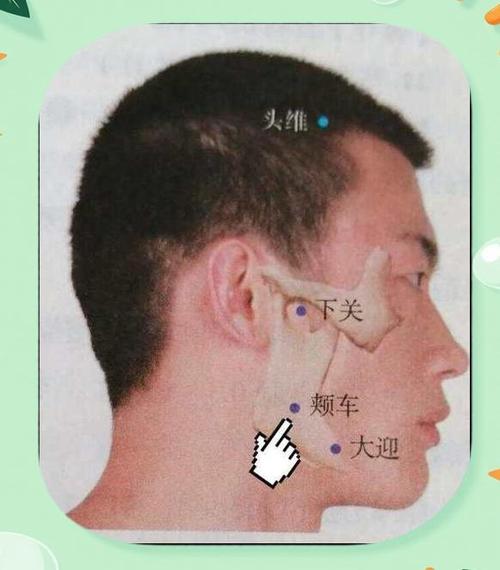 下巴有什么穴位