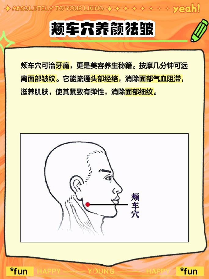 下巴有什么穴位