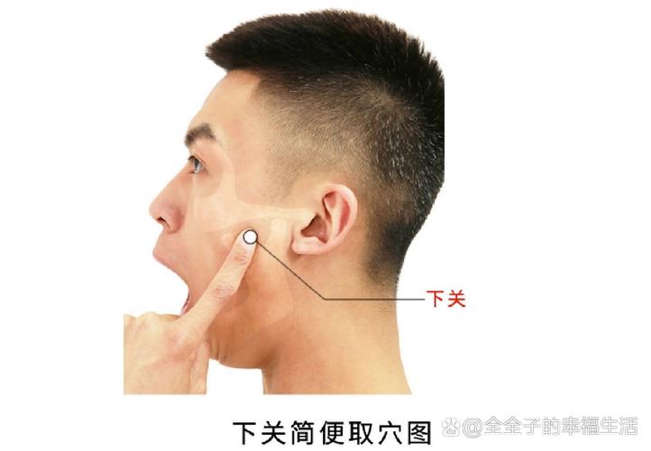 下巴有什么穴位