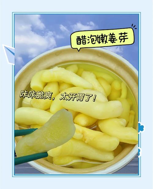 什么醋泡姜