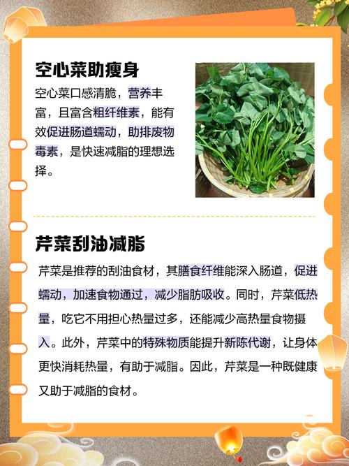什么蔬菜吸脂减肥
