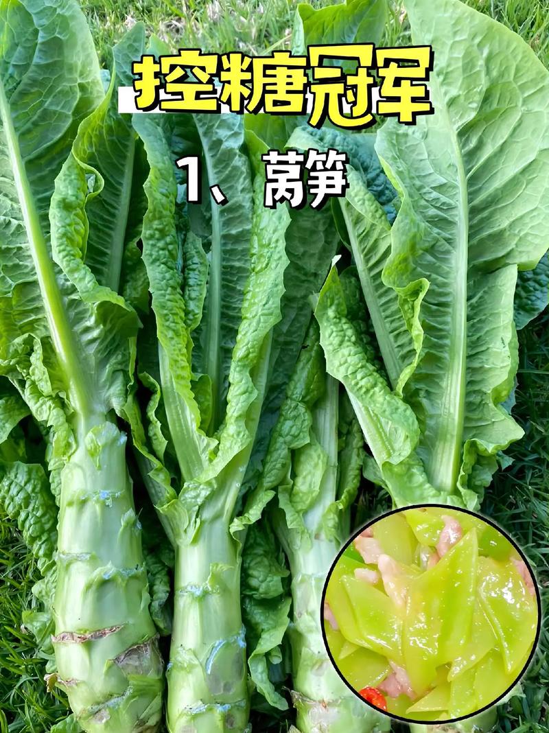 吃什么蔬菜减肥最有效