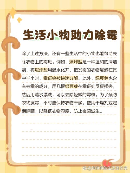 发霉用什么洗能洗掉