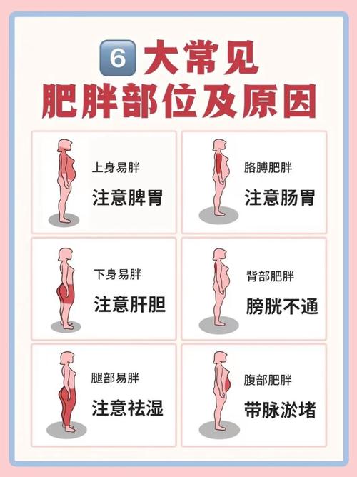 全身胖是什么原因
