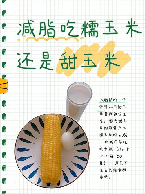 减肥适合吃什么主食