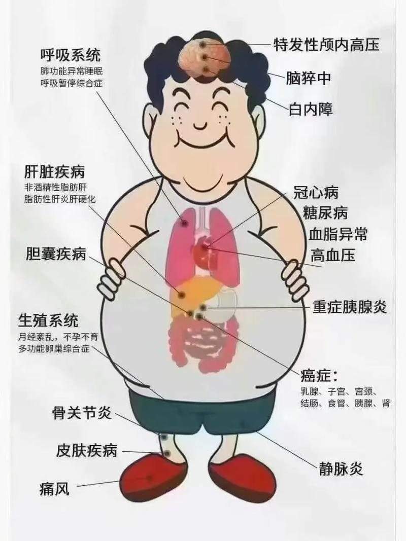 减肥容易得什么病