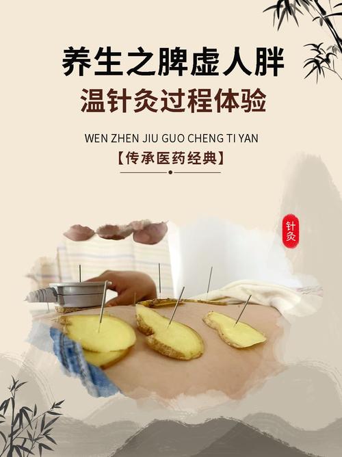 针灸 减肥什么时候 最好
