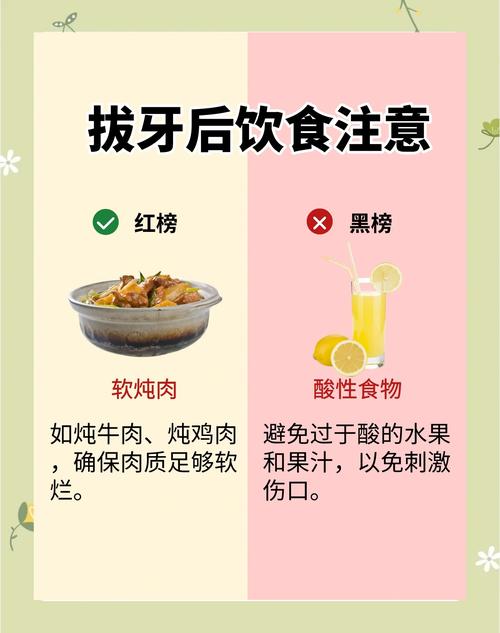 牙齿松动吃什么食物