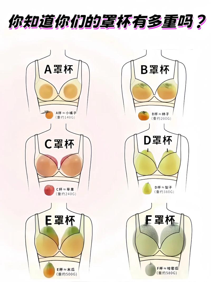 什么是a罩杯