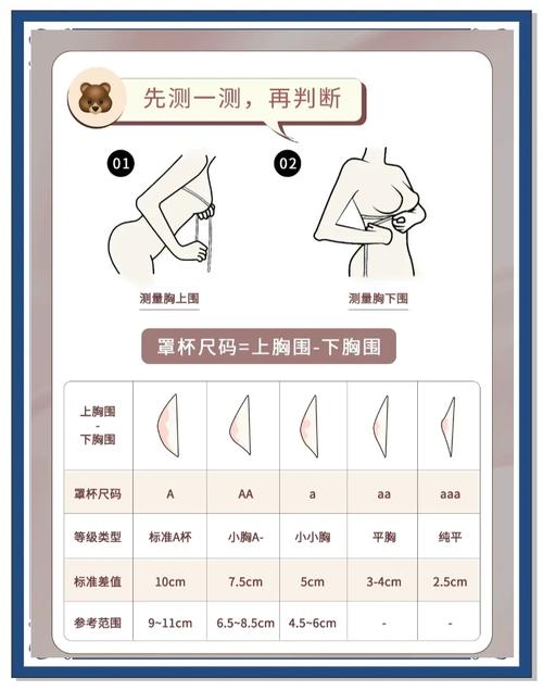 什么是a罩杯